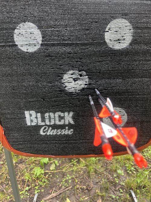 IMG_4893.jpeg IMG_4893.jpeg