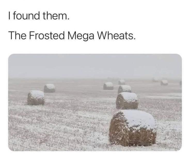 1740673123693.png 1740673123693.png