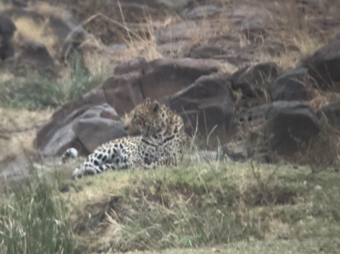 IMG_5643.jpeg IMG_5643.jpeg