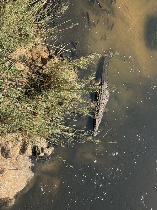 IMG_5498.jpeg IMG_5498.jpeg