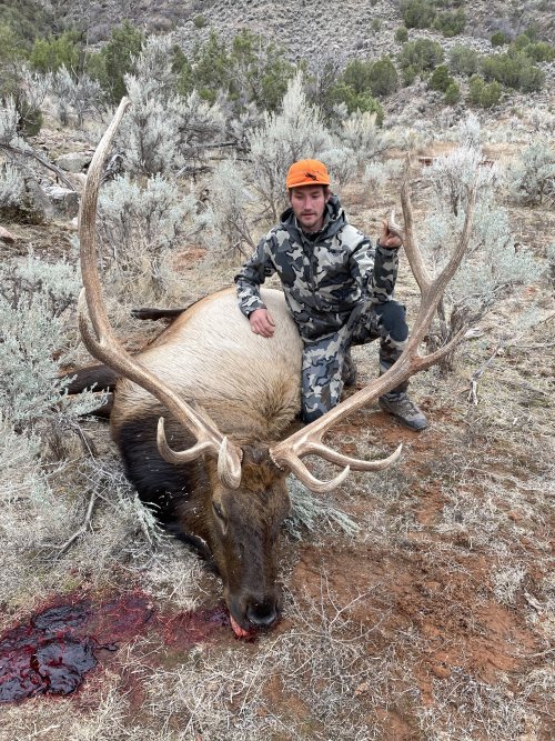 IMG_0080.jpeg IMG_0080.jpeg