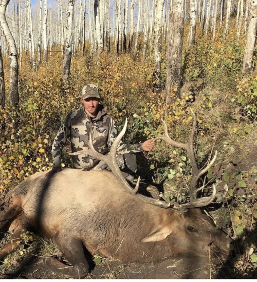 IMG_0162.jpeg IMG_0162.jpeg