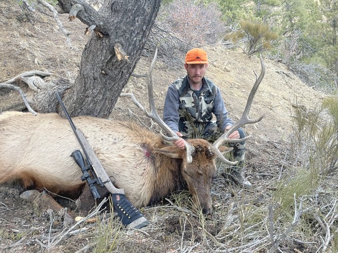 IMG_0203.jpeg IMG_0203.jpeg