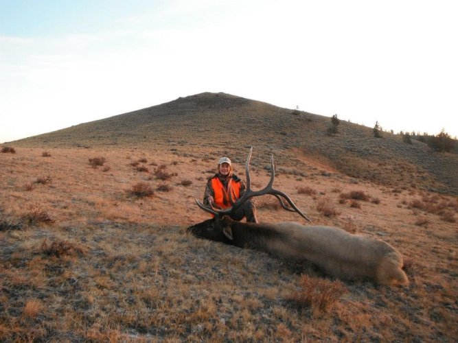 IMG_0599.jpeg IMG_0599.jpeg