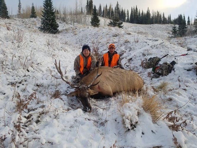 IMG_0864.jpeg IMG_0864.jpeg