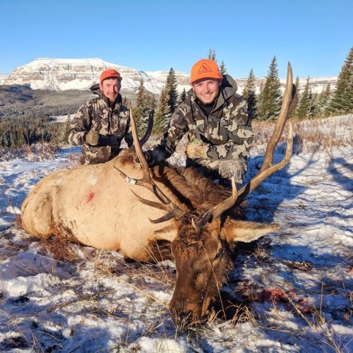 IMG_0880.jpeg IMG_0880.jpeg