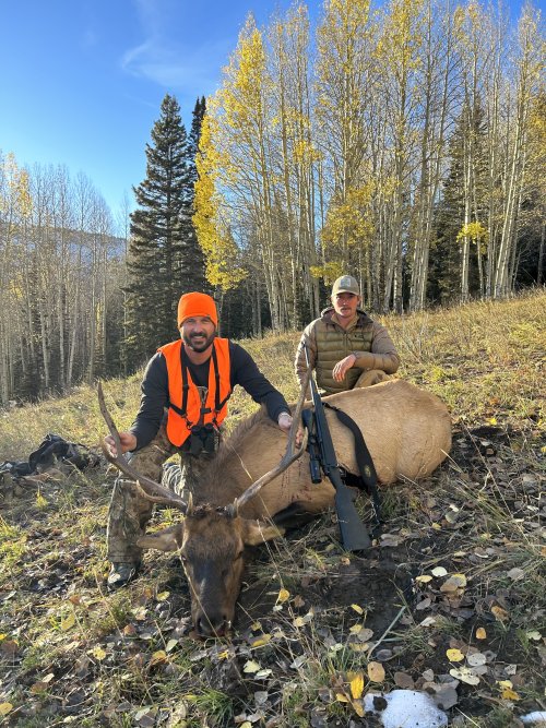 IMG_4792.jpeg IMG_4792.jpeg