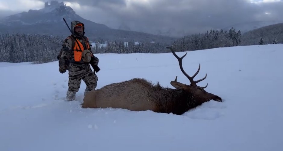 IMG_4911.jpeg IMG_4911.jpeg