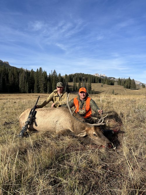 IMG_7965.jpeg IMG_7965.jpeg