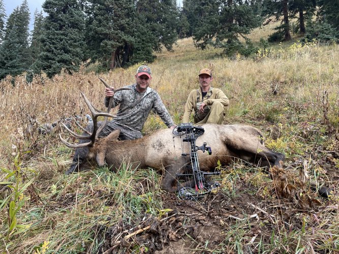 IMG_5224.jpeg IMG_5224.jpeg