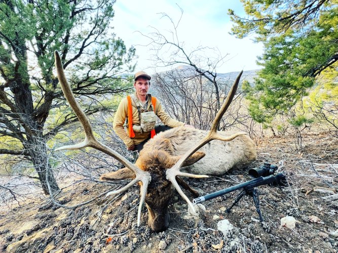 B3DA2363-859A-4C8D-921C-C0812492B4E6.jpeg B3DA2363-859A-4C8D-921C-C0812492B4E6.jpeg