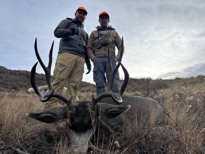 IMG_2397.jpeg IMG_2397.jpeg