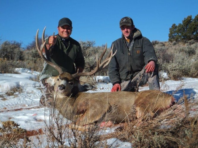 IMG_0135.jpeg IMG_0135.jpeg