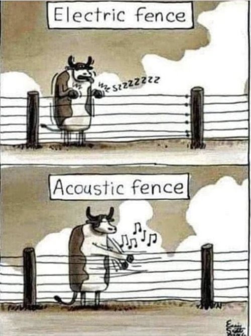 GwoDtxLX0AAor8y.jpeg