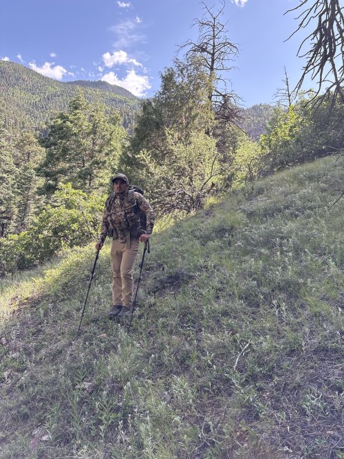 IMG_1271.jpeg