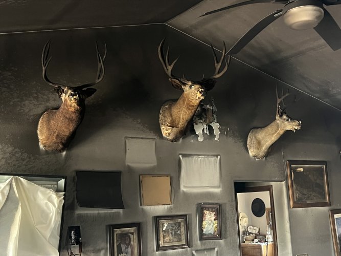 IMG_3509.jpeg