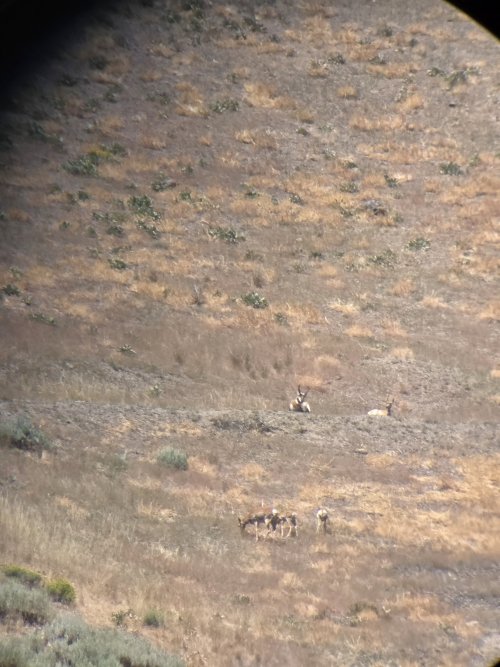 20250726_112629.jpg 20250726_112629.jpg