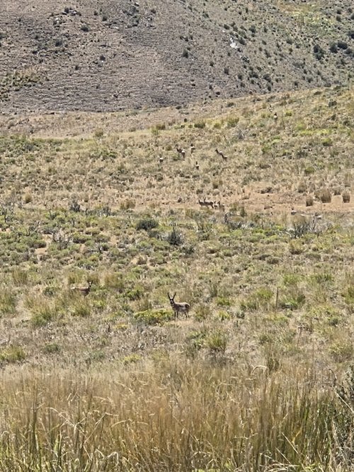 20250726_130921.jpg 20250726_130921.jpg