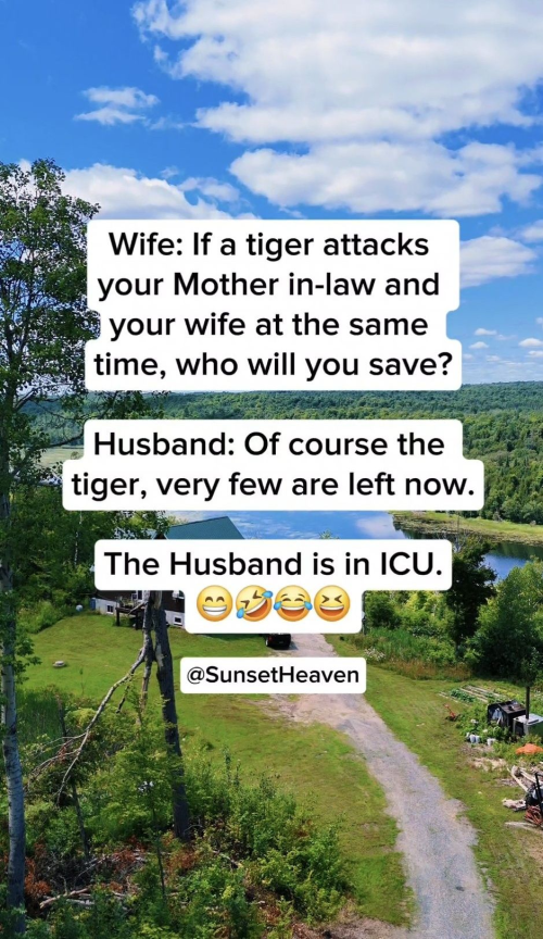 1753581882453.png