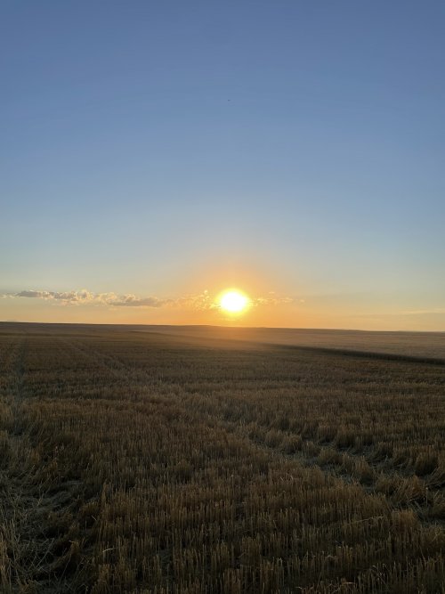 IMG_9052.jpeg