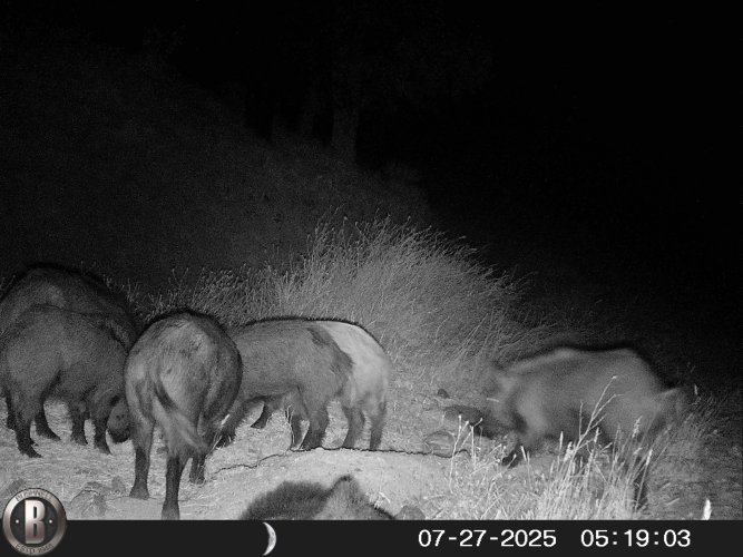 HUNT0037.JPG