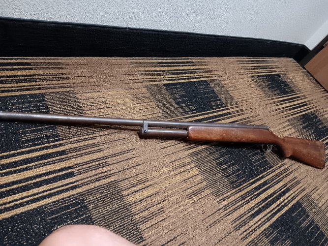 1000003555.jpg 1000003555.jpg