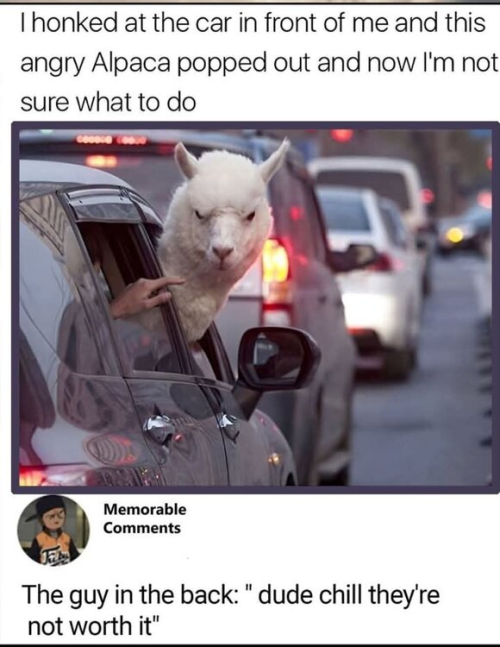 1753711859995.png