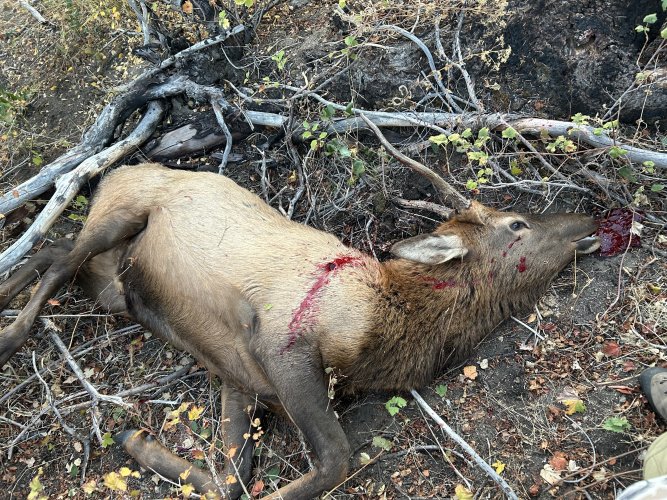 IMG_1352.jpeg IMG_1352.jpeg