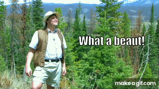 1753757207929.gif 1753757207929.gif