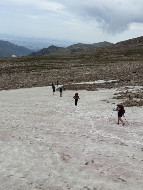 IMG_5122.jpeg IMG_5122.jpeg