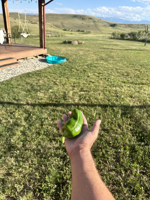 IMG_6244.jpeg