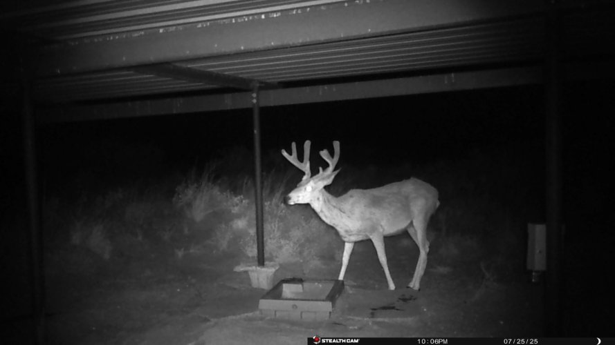 thumbnail_IMG_7150.jpg