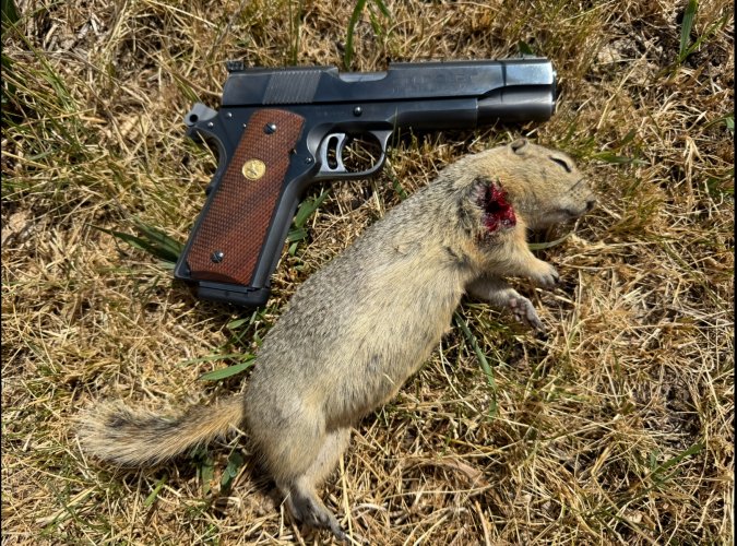 IMG_0014.jpeg IMG_0014.jpeg