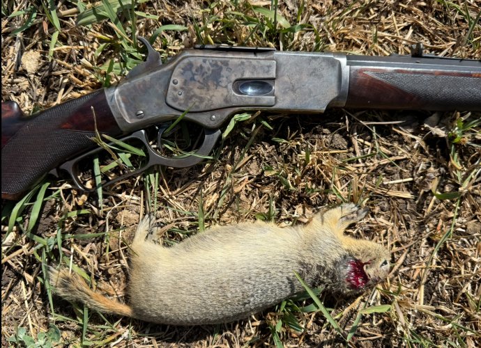 IMG_0016.jpeg IMG_0016.jpeg