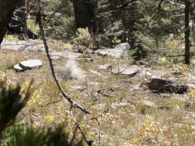 IMG_0062.jpeg IMG_0062.jpeg