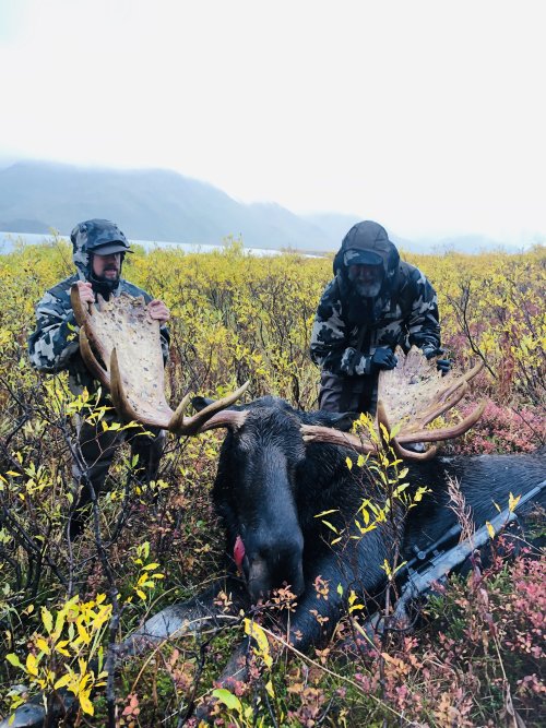 IMG_0301.JPG IMG_0301.JPG