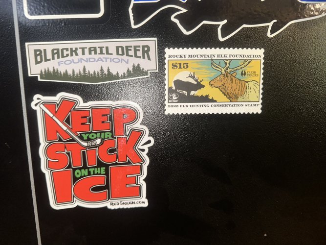 IMG_5774.jpeg IMG_5774.jpeg