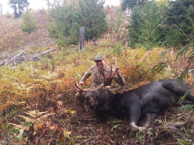 Resized_20230929_125305_1151.jpeg Resized_20230929_125305_1151.jpeg