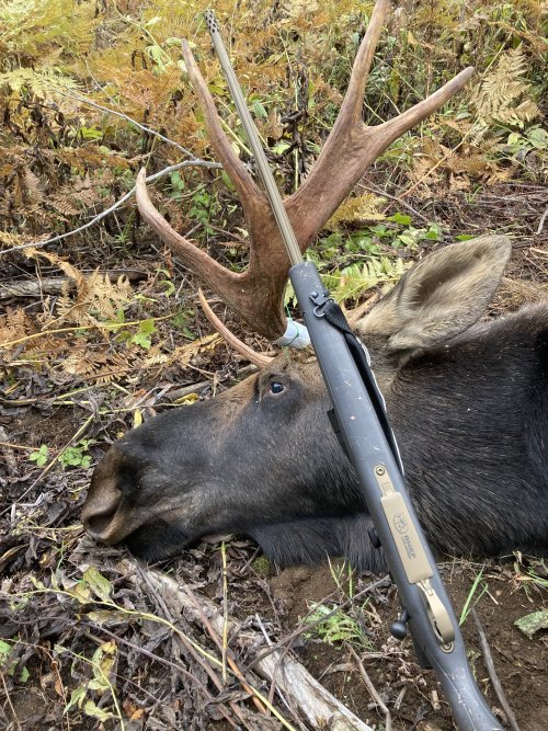 IMG_1521.jpeg IMG_1521.jpeg