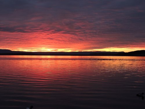 sunrise duks nov 2016 reduced.jpg sunrise duks nov 2016 reduced.jpg