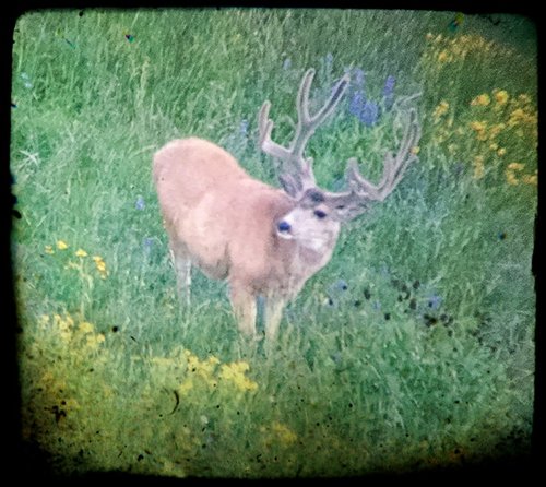 Frame2.jpg Frame2.jpg