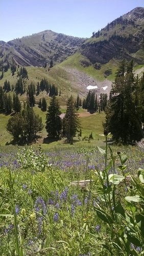 IMG_20150809_143535398 - Copy.jpg IMG_20150809_143535398 - Copy.jpg