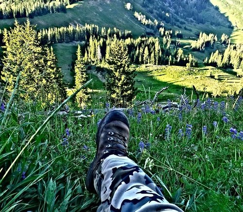 DSCF3954.JPG DSCF3954.JPG