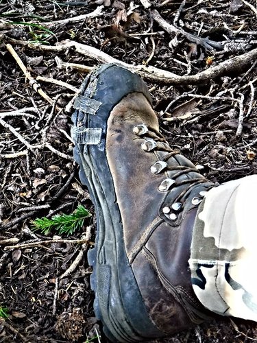 DSCF4177 - Copy.JPG DSCF4177 - Copy.JPG