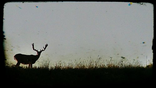 IMG_20150724_194946126.jpg IMG_20150724_194946126.jpg