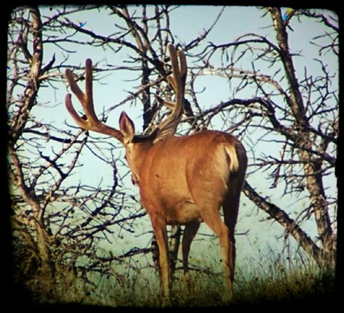 IMG_20150725_081218769.jpg IMG_20150725_081218769.jpg