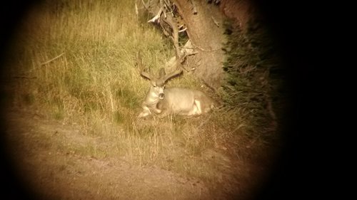 IMG_20150831_185754004.jpg IMG_20150831_185754004.jpg