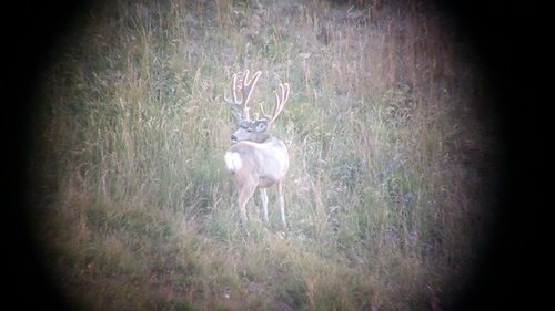 IMG_20150831_072248648.jpg IMG_20150831_072248648.jpg