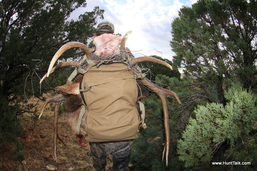 nm elk cody 2010 058.jpg nm elk cody 2010 058.jpg