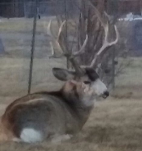 20160224_172322-1.jpg